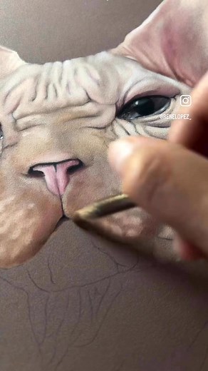 5.7K views · 38 reactions | Alien cat✍ | Eye Artist | Facebook