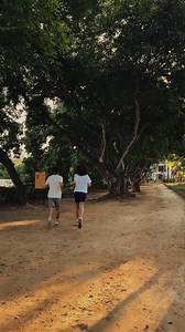 Good ideas get things moving... and people, too. ✨ At The Ravenala Attitude Hotel, there’s a self-guided wellness track through the 🌿 gardens, designed to help you move, stretch, breathe, or simply clear your head 🌀. 💡 It was imagined by David, one of our team members, through our in-house idea hub called The Lab. Because who better to improve the experience than the people who live it each day? 🎥 Meet David and discover the story behind the track. | Hotels Attitude