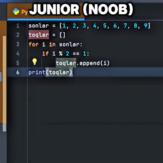 Pythonda Junior vs Senior #python #programming #pythoncode #junior #senior #pycharm #programmer