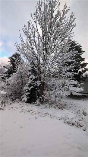 Deep Powder Snow Holidays on Reels | Facebook