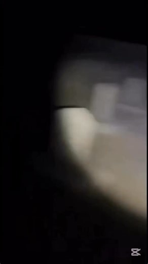 🐈‍⬛ https://giftskyline.com/collections/black-cat/products/black-cat-christmas-apparel-2 | Black Cat Addict