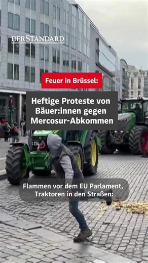 DER STANDARD News on TikTok