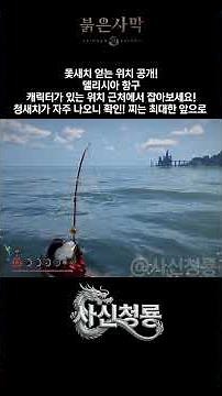 델리시아 항구에서 돛새치를 낚을 수 있습니다! 유사품 청새치에 주의하세요! [붉은사막] #붉은사막 #crimsondeserttips #Sailfish #돛새치 #낚시