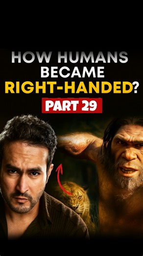 Educating on Instagram: "How Humans Became Right-Handed? 🖐️ Part - 29 @know.in.minutes Why are most of us right-handed? 🤔 Because our left brain hemisphere controls language & fine motor skills, which direct the right side of the body. 👉 Over evolution, the left hand defended, while the right hand mastered tools & attack. 👉 Later, writing, tools & culture made right-handedness the default for humans. 🎙️ Credit: Gaurav Thakur #gauravthakurclips #thegauravthakurshow #RightHanded #HumanEvoluti