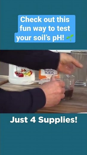 Testing Your Soil's pH - Simple Solutions