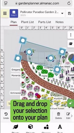 Plan a Pollinator Garden with The Old Farmer's Almanac