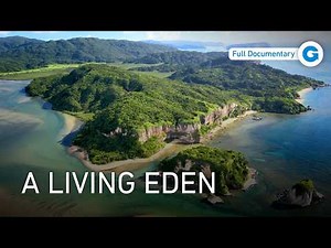 Inside Iriomote National Park: Japan’s Wildlife Sanctuary | Full Documentary