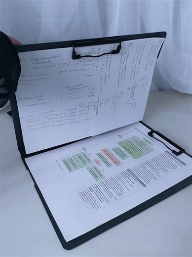 Organizing Papers with a Clipboard Folder