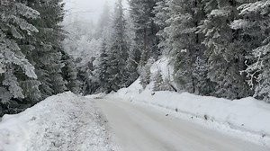 LeBeau Bros Logging: Women Loggers Nut Up and Quad Up