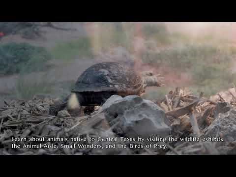 Austin Nature & Science Center Virtual Tour