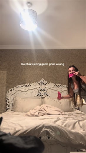 Dolphin Training Gone Wrong: A Hilarious Incident