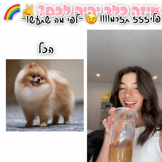 נושא: איזה כלב יהיה לכם לפי מה שתעשו?🍭|| איזה כלב יהיה לכם?😉|| איזה כלב הכי חמוד?🐶|| #edit_page_🦋 #פוריו #כלב