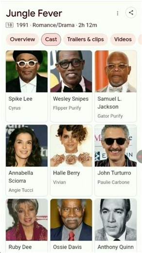 jungle fever stevie wonder #film