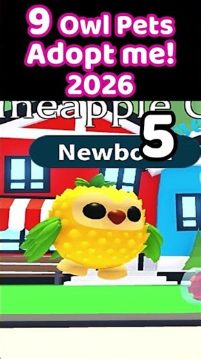 9 Owl Pets Adopt me 2026 #adoptmeowl #robloxadoptme #owls #adoptme2026