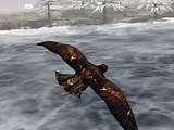 Fly Like A Bird 3 - Play On VitalityGames
