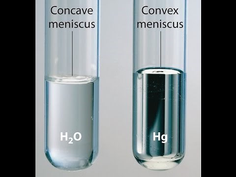 Cohesion and Adhesion