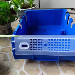 [Hot Item] Soft Shell Crab Soft Shell Crab Farm Crab Farm