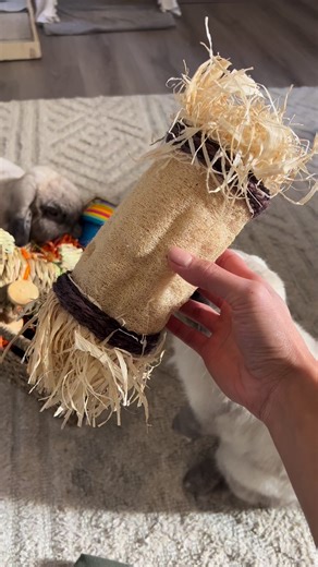 Safe toys for your bunny 🥰 😍CODE: HAPPYBUNS10 for 10% OFF bunniesthatlunch.com😍 | Happy Bunnies