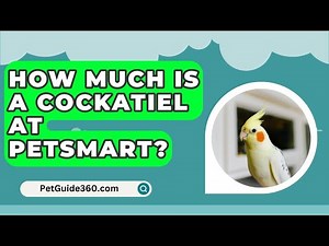 How Much Is A Cockatiel At PetSmart? - PetGuide360.com
