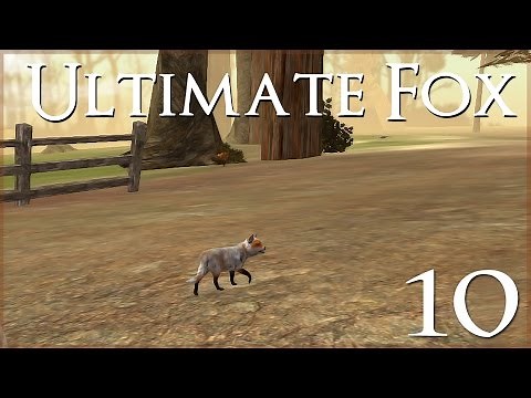 A Fox Kit's First Day in the Forest • Ultimate Fox Simulator - Episode #10