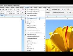 Ein Foto schneiden - so geht's in Corel Draw