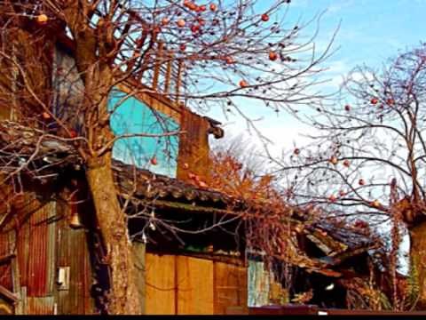 故郷の廃家 （歌詞つき）