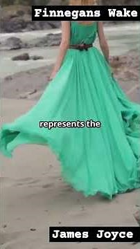 Finnegans Wake by James Joyce #visualliterature #literaryart #edwardianera #novel #viralshorts