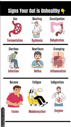 Signs Your Gut is Unhealthy