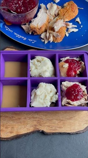 Store Your Thanksgiving Leftovers Like a Pro! | Soup Master for Easy Reheat Meals