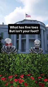 3.1M views · 54K reactions | Bad time for a visit to the White House?  #dadjokes #dadjoke #jokes #joke | Teflon Sega | Facebook