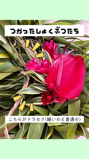 使った植物たち#タヒチ #タヒチアンダンス #tahiti #tahitiandance #oritahiti #衣装 #衣装制作