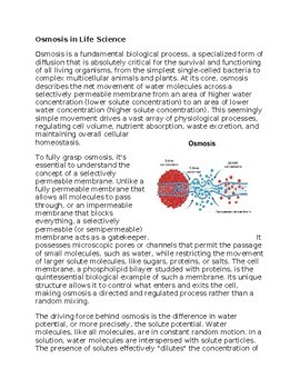 Osmosis Worksheet for Sub-Plan or Classwork & Homework