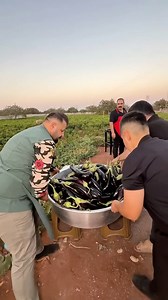 Dünyanın en iyi patlıcanından kebap yapıyoruz #patlıcankebabı | Gökhanmutfakda