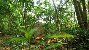 Building Cave Platinum Underground Swimming Pool With Private Living Room Underground