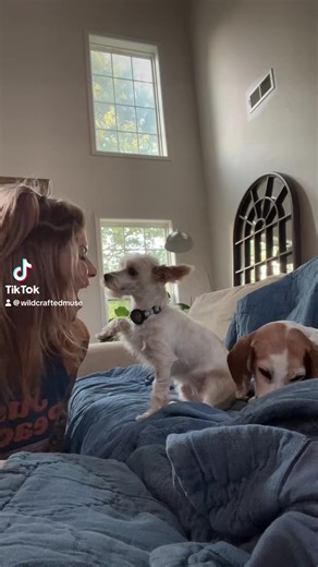 wildcraftedmuse on TikTok