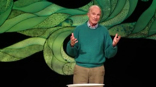 You’ve been using paper towels wrong your whole life. Here’s how to completely dry your hands using only one.