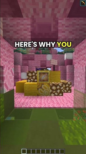 Java AND Bedrock which means anyone can connect from literally any device! A new journey begins