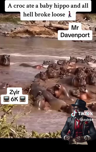 Anaconda Eats Hippo: Shocking Encounter Caught on Video