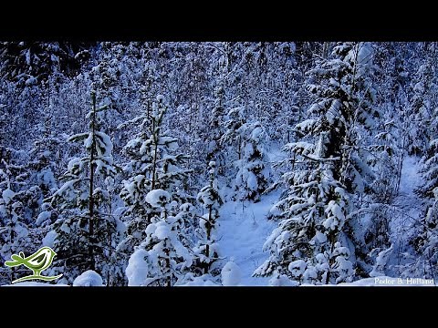 1 Hour of Happy Piano Cello Bells Music | Instrumental Christmas Music