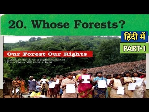 Whose Forests - हिंदी explanation | Class 5 EVS Chapter - 20 (PART-1) | CBSE Class 5 EVS NCERT