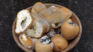 Hiring a Mold Remover for Mold on a Loaf of Bread | RossCreations