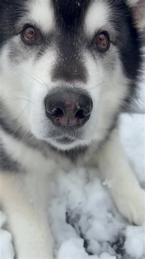 this stuff is awesome