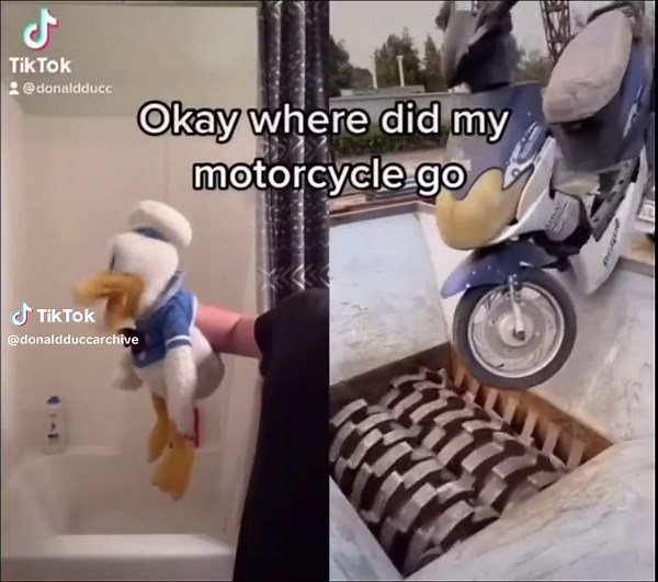 DonaldDucc Is Very Mad | donaldducc