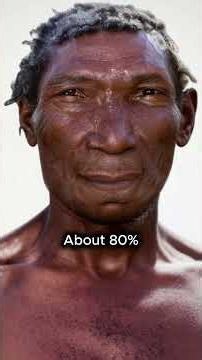 Humans and Neanderthals Are More Connected Than We Thought?