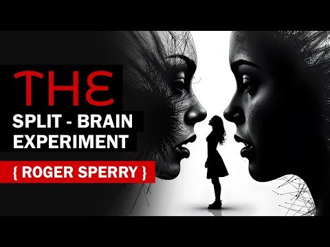 The Intriguing Truth About Human Consciousness (The Split Brain Experiment) Roger Sperry