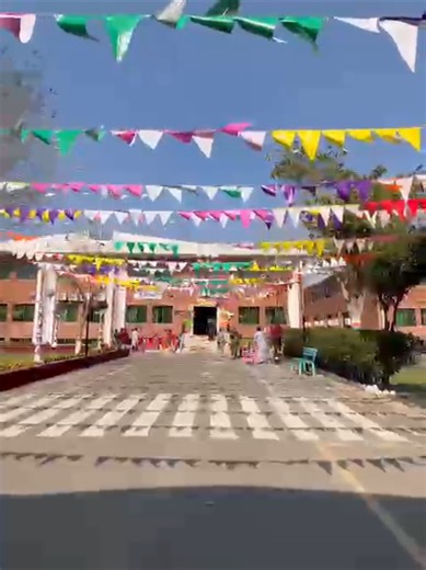 Spring Festival Preparations at Misber School
