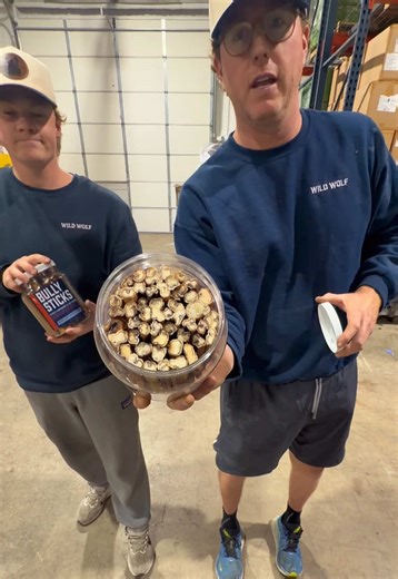Big Dogs Wild Wolf Gray and Alec showing off our hot, new Bully Stick Jar! It’s 2026 y’all…cookies are out…we’re on to Bully Sticks! 🥳 Packed with Protein Single-ingredient Supports Dental Health Long-Lasting Happy Chewing 🤠🐺 #dogchews #WildWolf #fyp #rescuedogs #dogsoftiktok