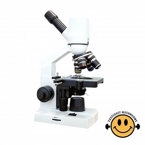 Digital Microscope | Perfect for Mycological Research | Clear Crisp Images | 1.3MP, 1000x - Etsy Australia