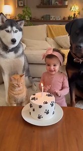 cutest birthday celebration ever | Surprising Facts