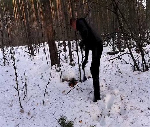 3.4K views · 63 reactions | Despite my weak legs, I was able to make it to the underground secret house. | Alone with nature | Facebook